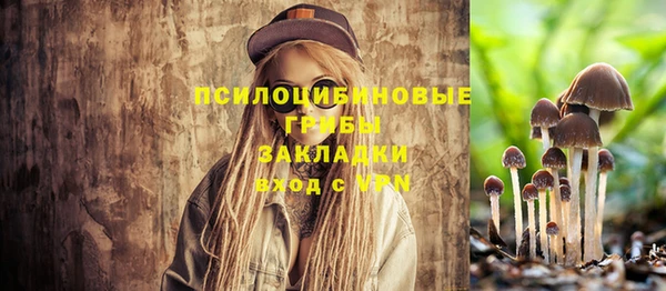 эйфоретик Аркадак